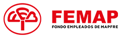 FEMAP