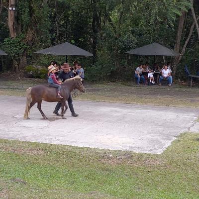 Caminata Ecológica 2024